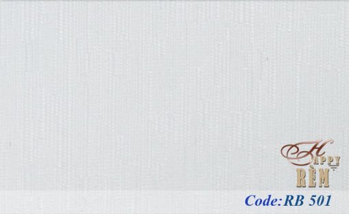 RB 501